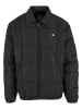 Dickies Dickies Leichte Jacken in black