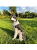 relaxdays Gartendeko Figur Hund XXL "Collie" - (B)34.5 x (H)68 x (T)43 cm