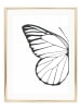 Tales by Jen Poster / Kunstdruck "Left butterfly wing" I Ohne Rahmen