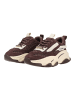 Steve Madden Sneaker POSSESSION-E in Braun/Weiß