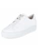 Paul Green Schnürhalbschuh in white