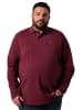 Men Plus Poloshirt in aubergine
