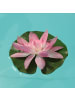 MARELIDA Kunstblume Seerose in rosa - D: 13cm