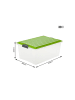 Rotho Compact 3er-Set Aufbewahrungsbox 38l mit Deckel in Grün