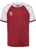 Hummel T-Shirt Raglanärmel Hmlmatch Kinder in MAROON/WHITE