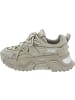 Steve Madden Kingdom Sneaker low Beige