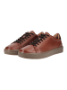 Marco Tozzi Sneaker in Cognac
