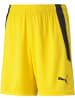Puma Sporthose "TeamLIGA Shorts Jr" in Gelb