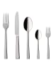 Villeroy & Boch 180-tlg. Tafelbesteck Victor in Silber – in silber