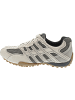 Geox Snake sportlicher Schnürer Beige