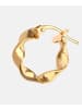 Vanlere Creolen aus 375 Gelbgold