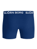 Björn Borg Boxershort 7er Pack in Blau/Grün