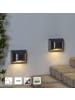 STAR Trading Solar-Wandleuchte Wally 2er-Set