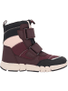 Geox Winterstiefel in dk burgundy