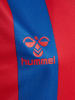 Hummel Hummel T-Shirt Hmlcore Multisport Kinder Atmungsaktiv Schnelltrocknend in TRUE BLUE/TRUE RED