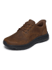 Skechers Sneakers Low Pollard - Colt in braun