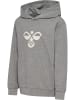 Hummel Kapuzenpullover Hmljr Reg Kinder in GREY MELANGE