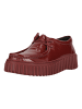 Clarks Schuhe Torhill Bee in 5287A Burgundy Pat