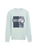 Tom Tailor Sweatshirt in hellgrün