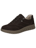 Caprice Sneaker in DK BROWN NUBUC