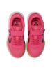 Hummel Klettverschluss Hallenschuh Multiplay Flex Innenbereich Kinder in FANDANGO PINK