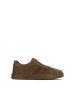 Kazar Sneaker Low in Braun