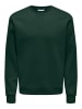 ONLY & SONS Sweatshirt in Pine Grove
