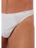 HOM Mini Slip / Unterhose Premium Cotton in Weiß
