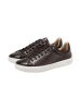 JOOP! Sneaker 'Dollaro Nate in Braun'