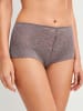 Calida Panty in sparrow brown