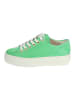 Paul Green Sneaker in Kiwi
