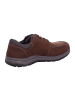rieker Schnürschuhe in noce/schoko