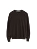 Polo Club Pullover MAN RIGBY GO V WOOL KYE LONG SLEEVE REGULAR FIT in Dunkle Schokolade