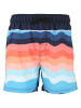 Cruz Boardshorts Wassim in Print 3476