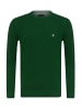 SIR RAYMOND TAILOR Strickpullover Sona in Green