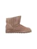 Bearpaw Stiefel in Taupe