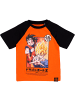 Dragon Ball Sets Goku in multicolor
