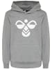 Hummel Hummel Kapuzenpullover Hmlcuatro Lebensstil Kinder in MEDIUM MELANGE