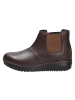 Joya Stiefelette LONDON II DARK BROWN in braun