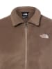 The North Face Fleecejacke Collared in taupe