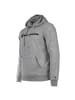 Champion Sweatshirt in Grau