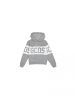 GCDS Hoodie 1527BA2 Grau