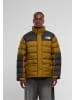 The North Face The North Face Puffer-Jacken in moss green