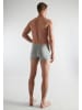 CECEBA Pants 3Er Pack Challenger in grau-dunkel-melange