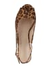 VAN HILL Klassische Sandaletten Mia in Leopard
