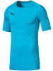 Puma Trikot Final evoKNIT in Blau