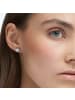 Swarovski Ohrringe für Damen in silber