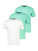 Lerros T-Shirt Basic in Mint / weiß