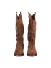 Alma en Pena Stiefel in Camel