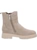 Tamaris Stiefeletten in taupe